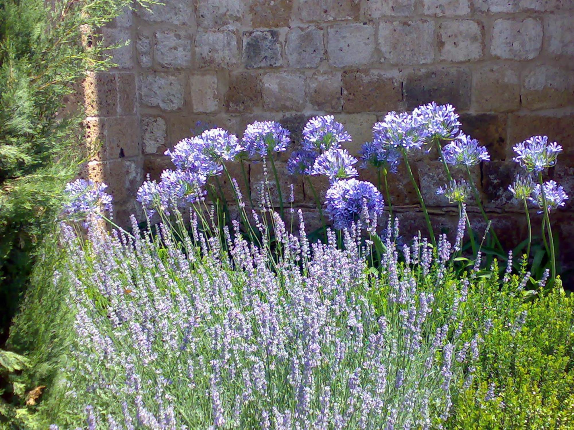 Locanda Palazzone Orvieto Exterior photo