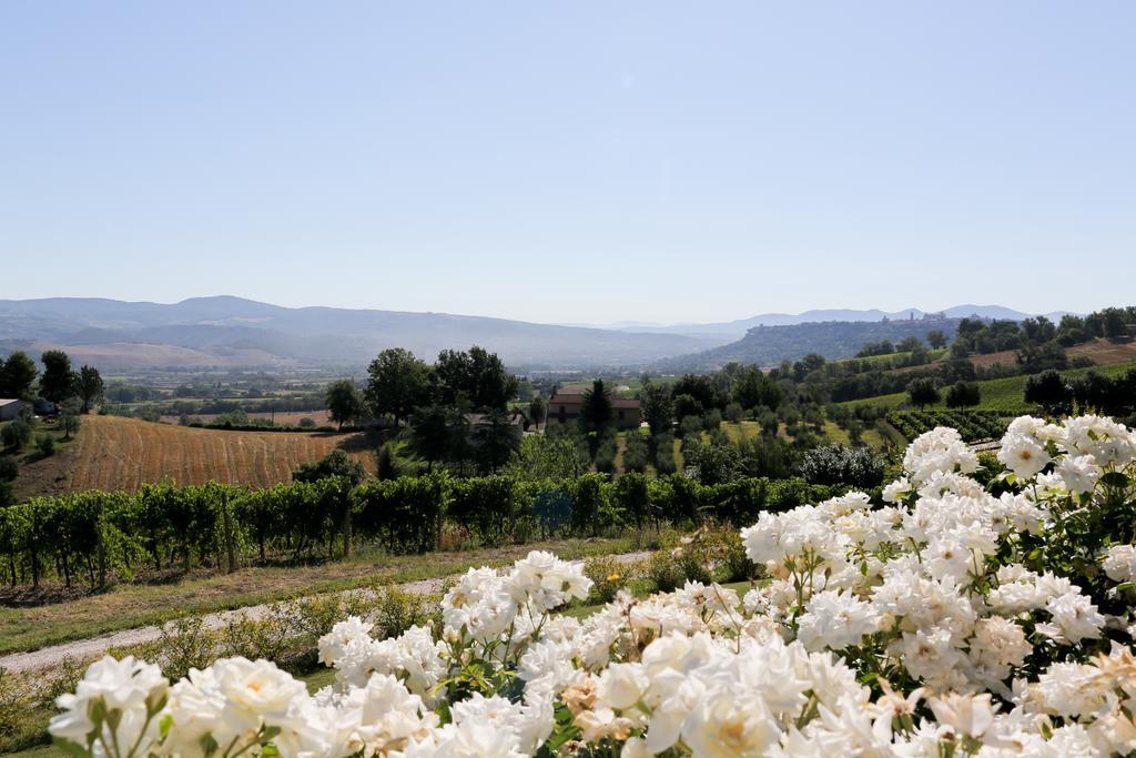Locanda Palazzone Orvieto Exterior photo